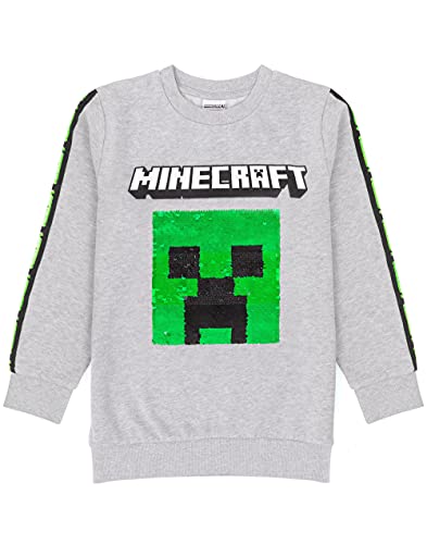 Minecraft Kids Sudadera Sudadera Escritura TNT Gray Gamer Jumper Sudadera con ca 13-14 años